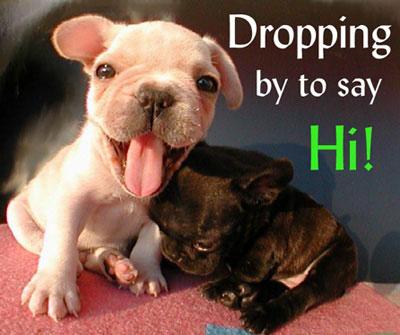 Dropping By To Say Hi!