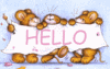 Hello Enjoy Your Day