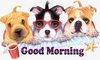 Good Morning