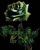 Thanks For The Add Green Rose