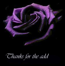 Thanks For The Add Rose Violet