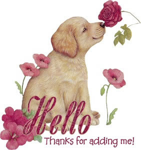 Hello Thanks For Adding Me!