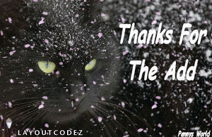 Thanks For The Add Cat In Snow