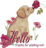 Hello Thanks For Adding Me!