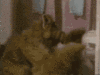 Alf In The Bathroom