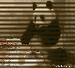 Surprised Panda
