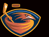 icehockey