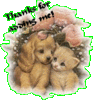 Thanks For Adding Me!