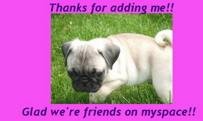 Thanks For Adding Me!! Glad We're Friends On Myspace!!!