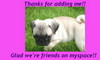 Thanks For Adding Me!! Glad We're Friends On Myspace!!!