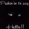 Peekin In To Say Hello