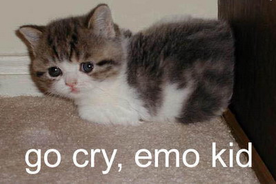 Go Cry,emo Kid