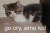 Go Cry,emo Kid
