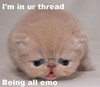 Being All Emo