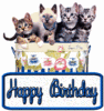 Happy Birthday cats