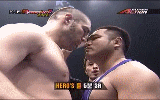 Knock Out