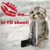 Kiss Me Or I'll