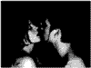 Kiss Animated