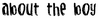 About The Boy