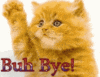 Buh Bye Cat