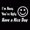 I'm Busy You're Ugly Have A Nice Day