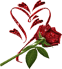 Red Rose Love