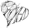 Heart Broken