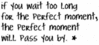 The Perfect Moment Will Pass You By