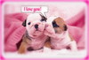 I Love You Pinky