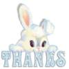 Thanks Rabbit