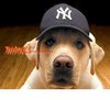 Thanks.... NY Hat