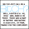 Bitch Is A Dog