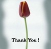 Thank You!