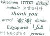 Thank You Danke Mahalo
