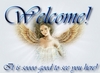 Welcome Angel