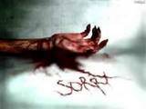 Sorry Bloody 