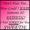 I Don't Hate You How Could I Hate Someone So Pathetic? I Feel Sorry For You Sweetie
