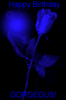 Happy Birthday Blue Roses