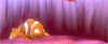 Flirty Fish