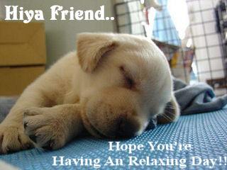 Hiya Friend