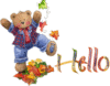 Hello Happy Bear