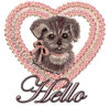 Hello 