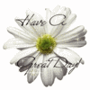 Have A Great Day!