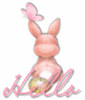 Hello Rabbit With Butterfly