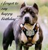 I Forgot To Say Happy Birthday!!!