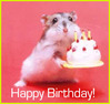Happy Birthday Mouse