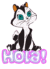 Hola!