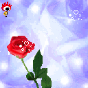I Love U Roses