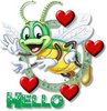 Hello