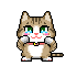 Hello Small Cat